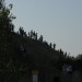 mini-IMG_4042