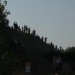 mini-IMG_4043