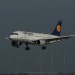 mini-IMG_4054