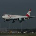mini-IMG_4081