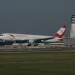 mini-IMG_4083
