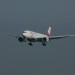 mini-IMG_4085