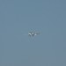 mini-IMG_4100