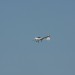 mini-IMG_4101