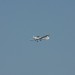 mini-IMG_4102