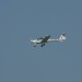 mini-IMG_4103