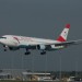 mini-IMG_4115