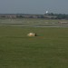 mini-IMG_4123