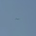 mini-IMG_4130