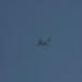 mini-IMG_4133