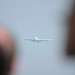 mini-IMG_4138