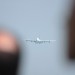 mini-IMG_4140