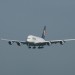mini-IMG_4142