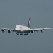 mini-IMG_4143