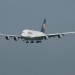 mini-IMG_4144