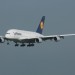 mini-IMG_4145