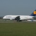 mini-IMG_4166