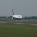mini-IMG_4175