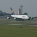 mini-IMG_4176
