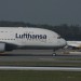 mini-IMG_4197