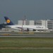mini-IMG_4216