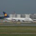 mini-IMG_4217