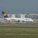 mini-IMG_4219