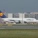mini-IMG_4225