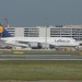 mini-IMG_4226