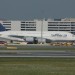 mini-IMG_4230