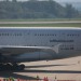 mini-IMG_4310