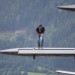 airpower09_014