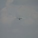 loau_027