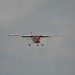 loau_031