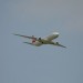 loau_054