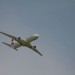 loau_056