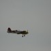 loau_074