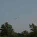 loau_148