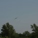 loau_149