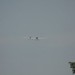 loau_156