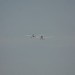 loau_157