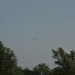 loau_158