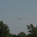 loau_161