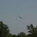 loau_162