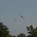loau_163