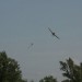 loau_164