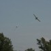 loau_165