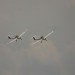 loau_169