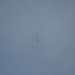 loau_178