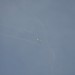 loau_179